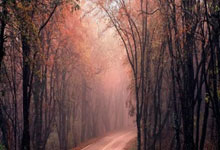 三亿体育体育中国官网-勒加内斯客场奋勇追击，目标直指领跑宝座