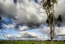 雷加利亚领衔，毕尔巴鄂主场告捷