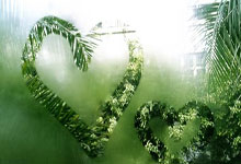 巴哈马代表团游泳选手勇夺第一名