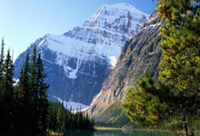 博洛尼亚客场取胜，赢得关键分