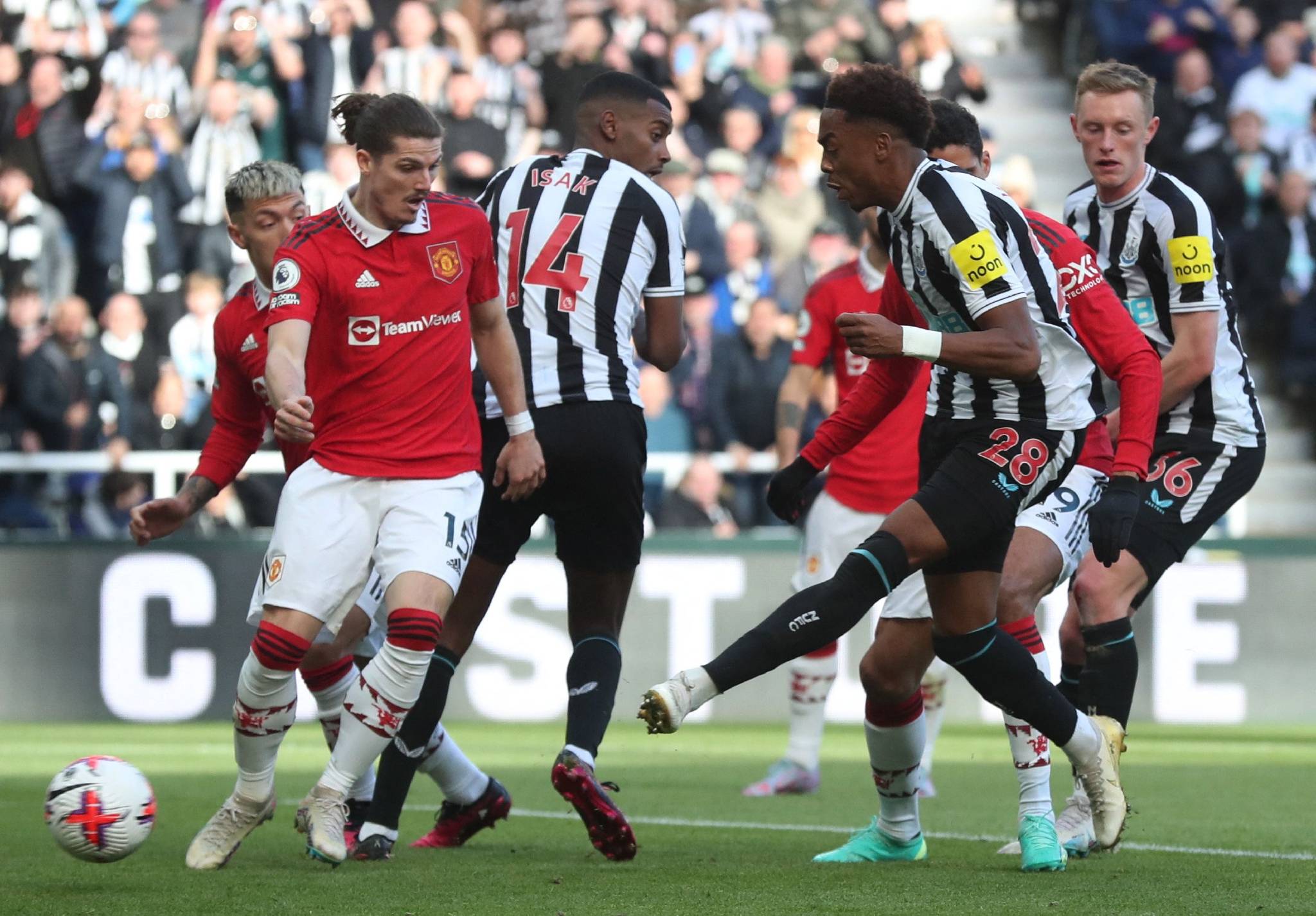 三亿体育体育注册-关于阿尔卑斯队主场告捷,提升球队士气的信息