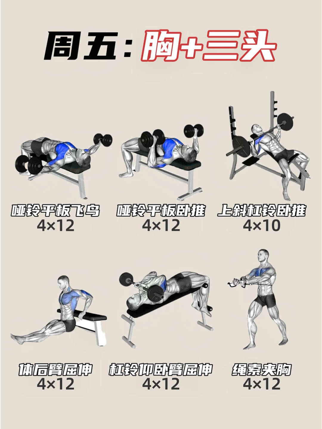 训练强化技巧战力，积极备战未来对手的简单介绍